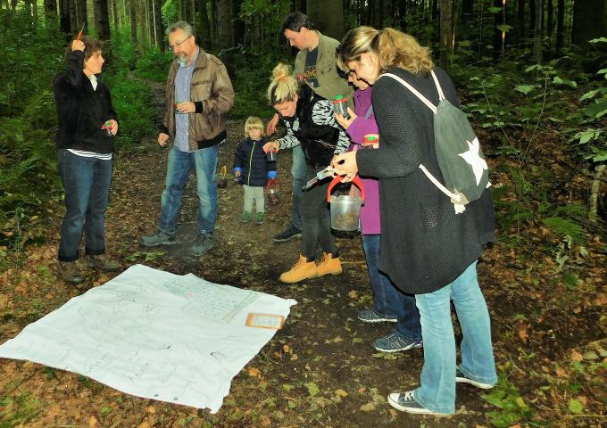 Teilnehmer der Fortbildung suchen den Waldboden ab